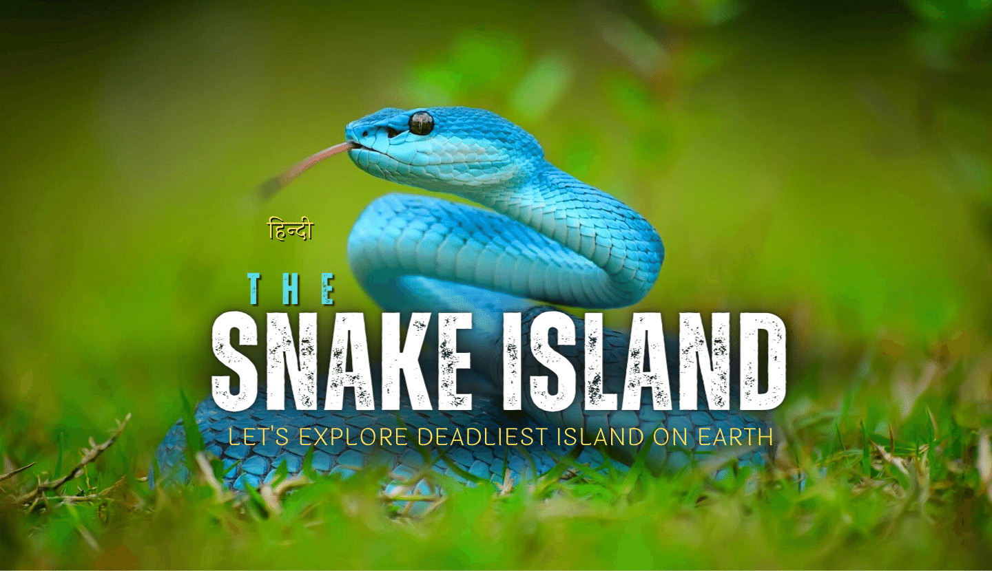 The Snake Island - Let's explore deadliest island on Earth