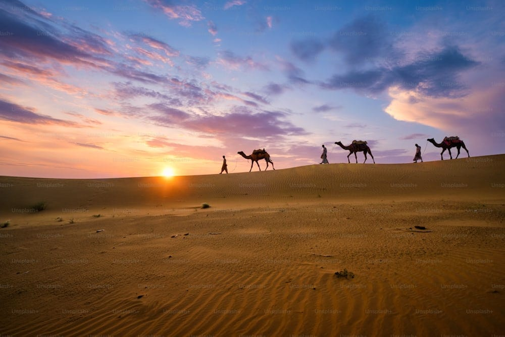 The Thar Desert